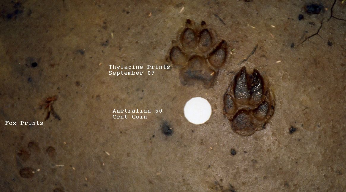 Footprints